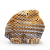 PEEK printed lattice structure