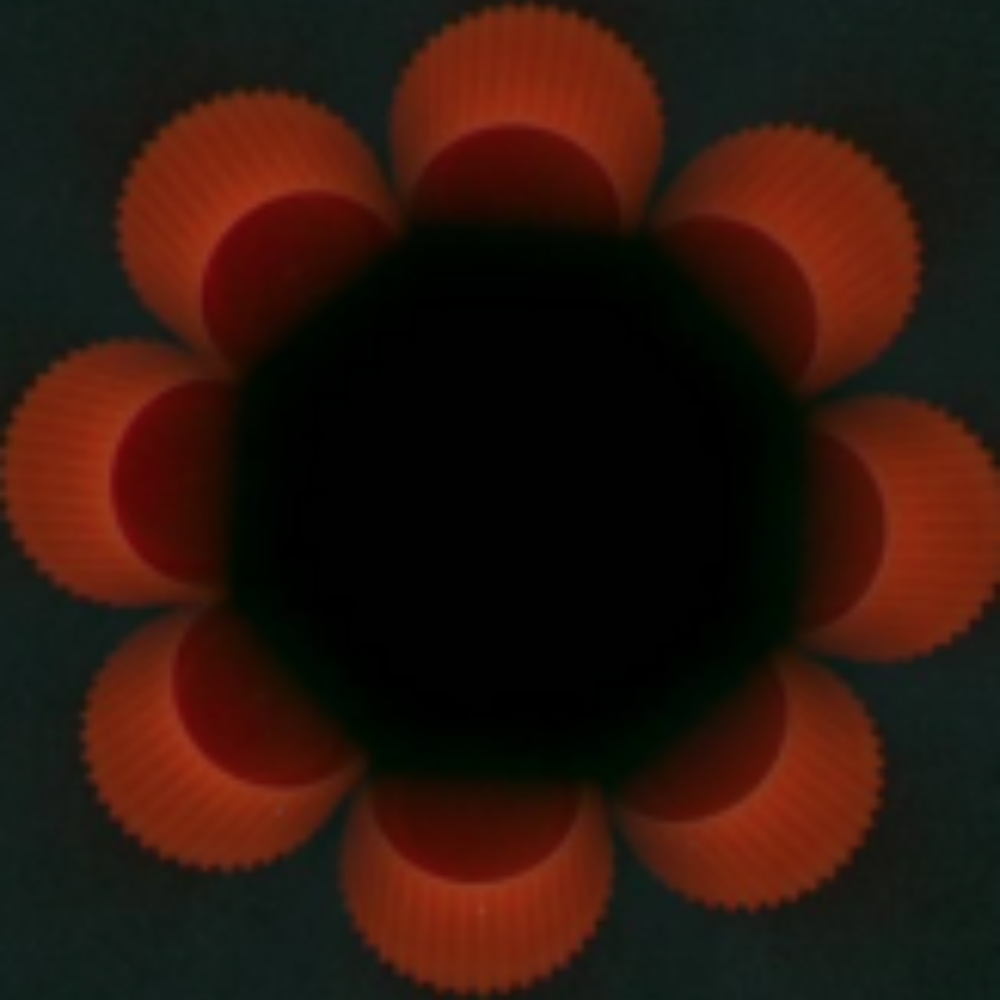 Rotation-invariant 360 degree cap inspection